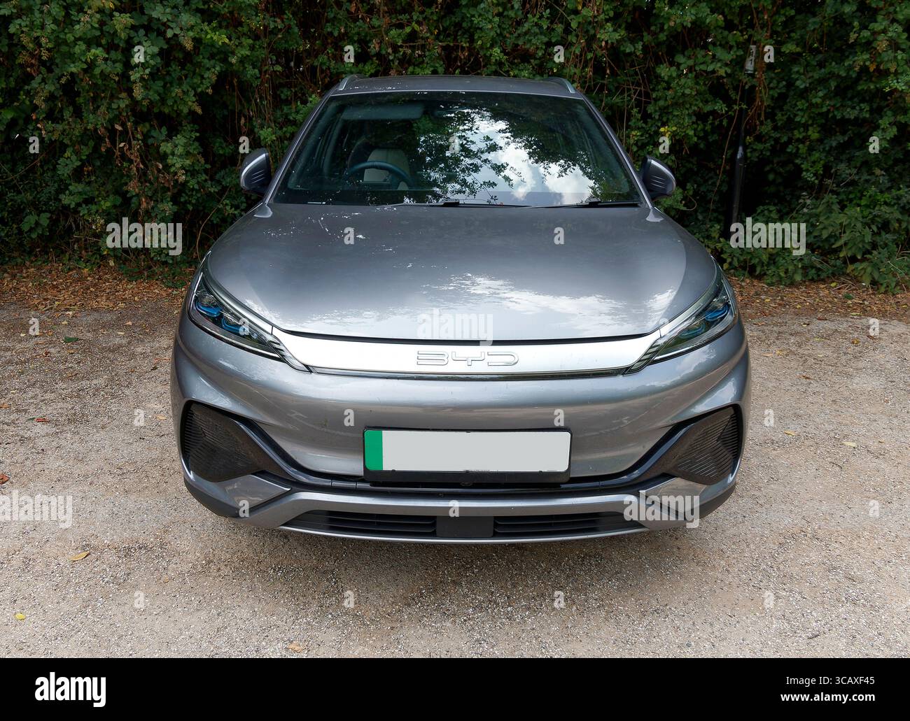 BYD BYD Atto 3